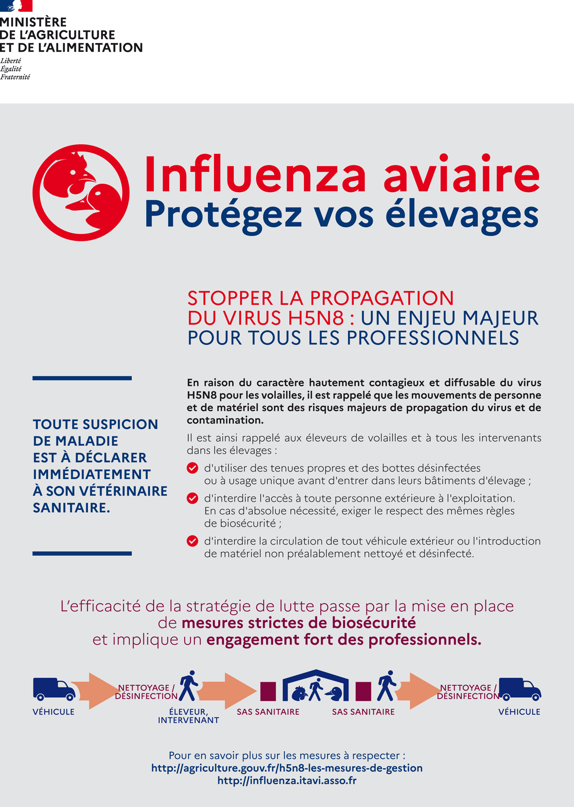 Influenza aviaire
